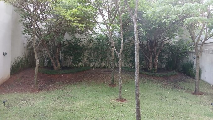 photo9.jpg